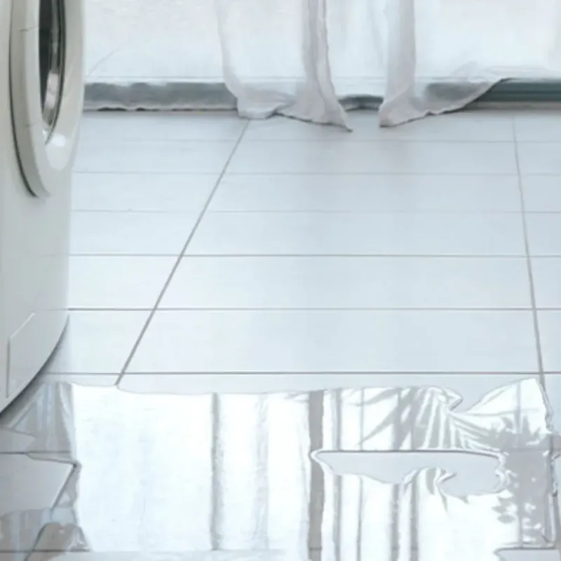 Appliance Leak Cleanup in Wellborn, FL