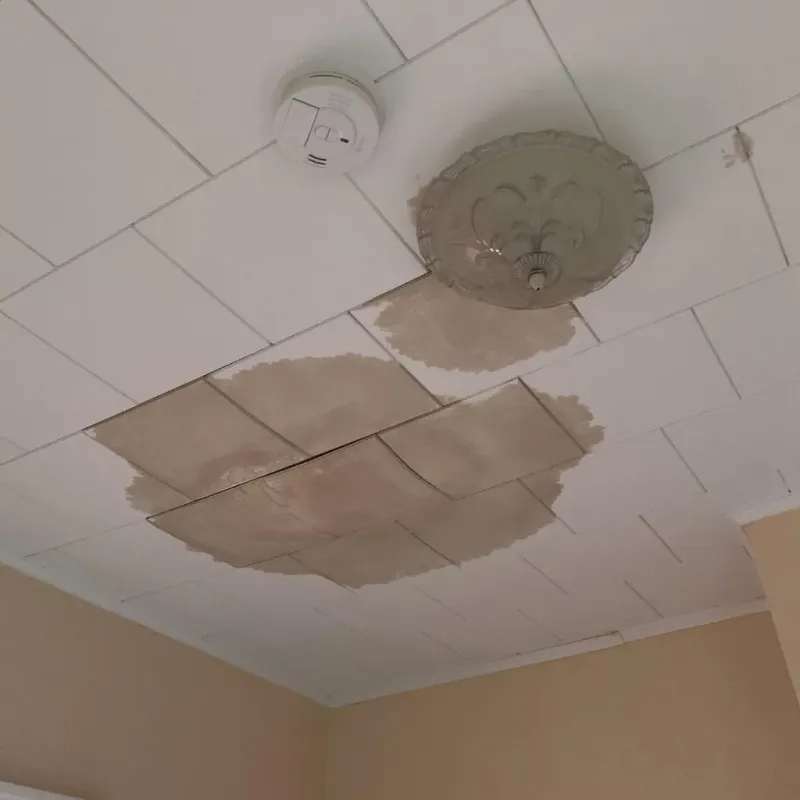 Ceiling Water Damage Repair in Wellborn, FL